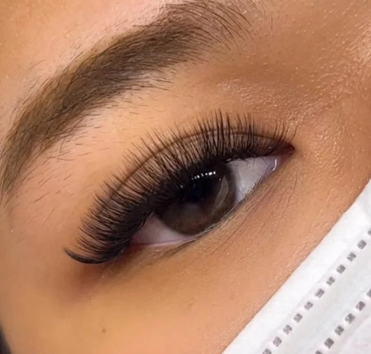 Eyelash Extension - Volume